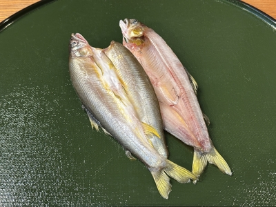 鮎の開き（岐阜産、養殖）1枚