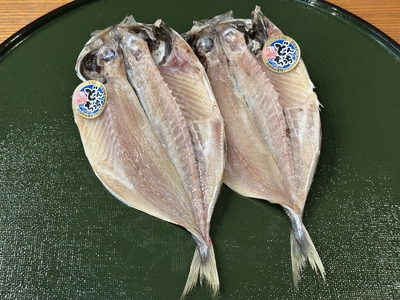 島根産　どんちっちあじ　1枚