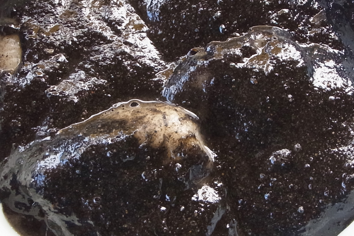 岩手県北上市 展勝地名物 冷凍タレもち（ごま） 250g（6切入） | 展