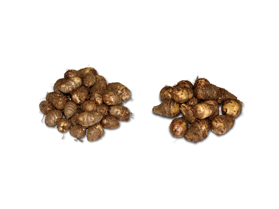 二子お手頃セット S(1kg)+L(2kg)