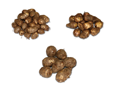 二子サイズ比べセット S(1kg)+L(1kg)+3L(1kg)