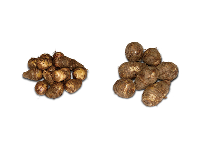 二子セット 3L(2kg)+L(3kg)