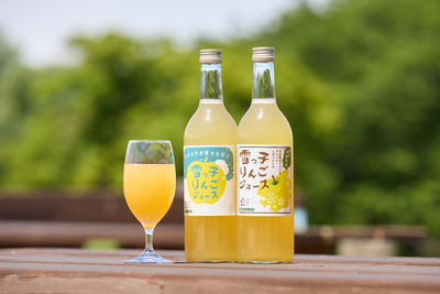 雪っ子りんごジュース2本入