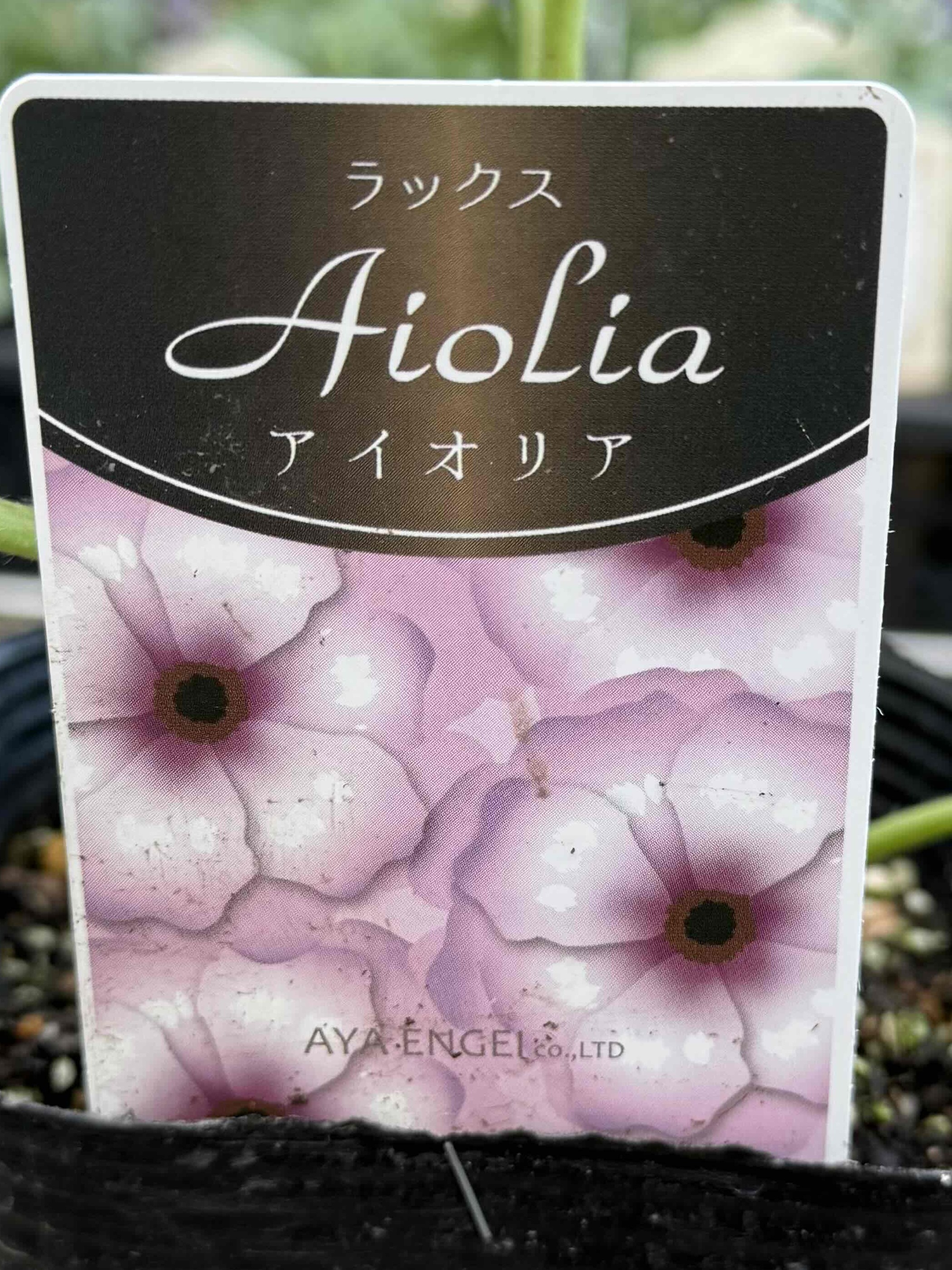 花らっきょ様 ♡リクエスト2点 ✨まとめ商品✨ありがとうございます♪☀️ らっきょ様 リクエスト 2点 まとめ商品 らっきょ様 リクエスト 2点