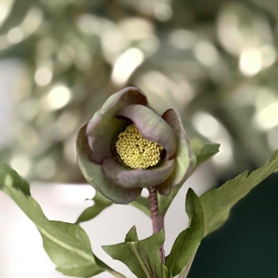 グリーン＆ダークバイカラー【kg8】