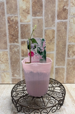 スズラン　ピンク