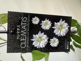 クレマファクトリー　雪おこし