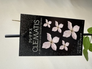 クレマファクトリー　フォーエバーフレンズ