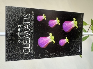 クレマファクトリー　葵