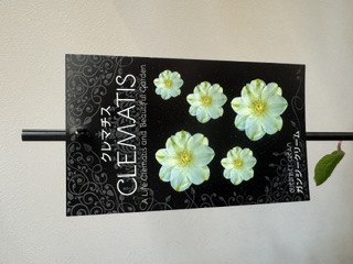 クレマファクトリー　ガンジークリーム