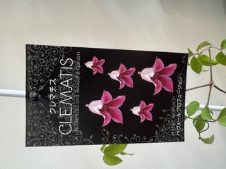 クレマファクトリー　ペヴェールプロフュージョン