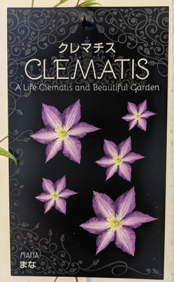 クレマチス　まな