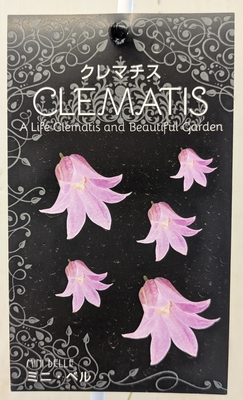 クレマチス　ミニ・ベル