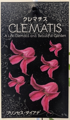 クレマファクトリー　プリンセス・ダイアナ