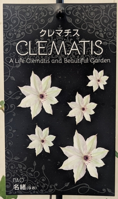 クレマファクトリー　名緒（なお）