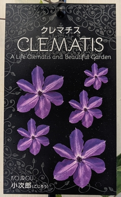 クレマファクトリー　小次郎