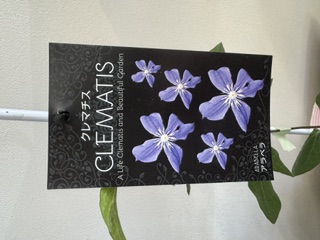 クレマファクトリー　アラベラ