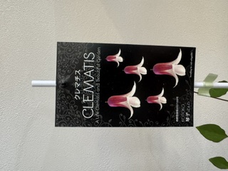 クレマファクトリー　琴子