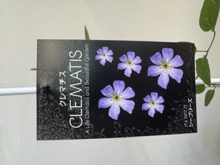 クレマファクトリー　シーブリーズ