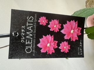 クレマファクトリー　レッドスター