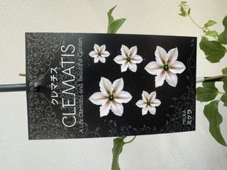 クレマファクトリー　ミクラ