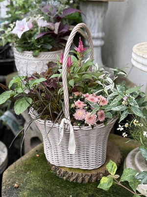 秋の寄せ植え　A