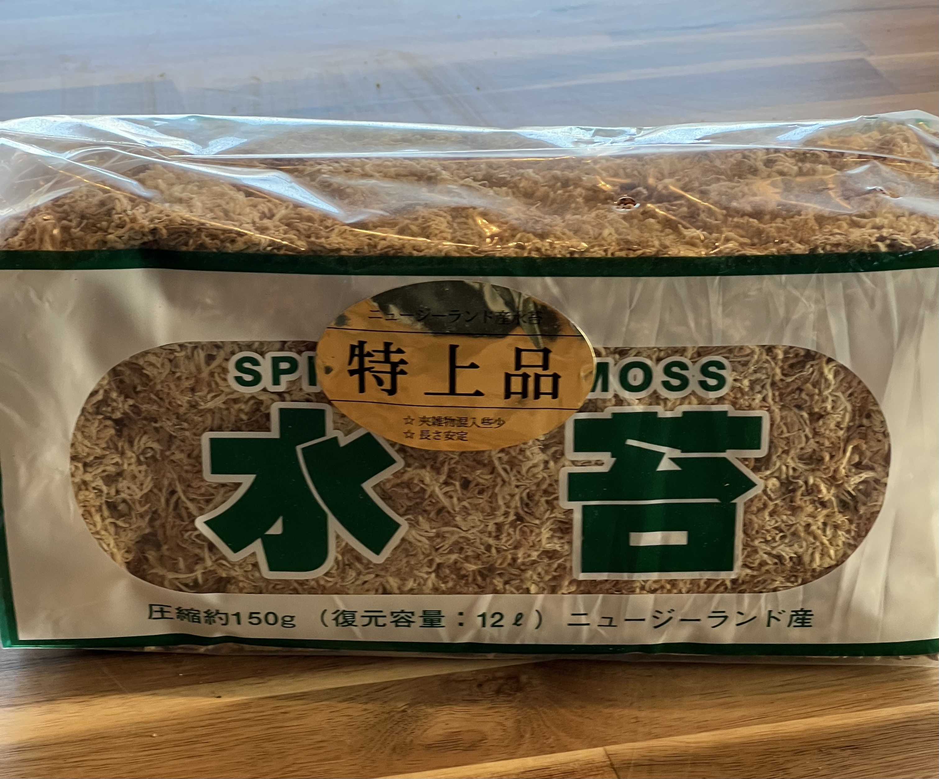 朽木苔 朽木◇限定作品 2025.8.17#3 | 苔テラリウム専門ショップ道草