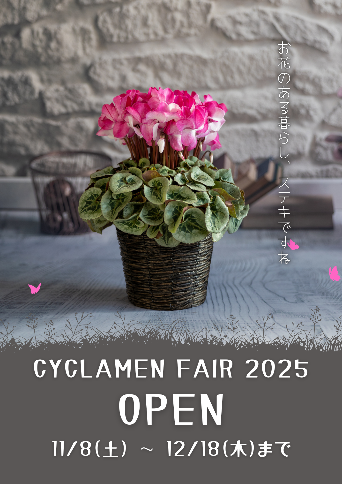 2025年シクラメン販売開始のお知らせ | 吉沢園芸オンラインストア