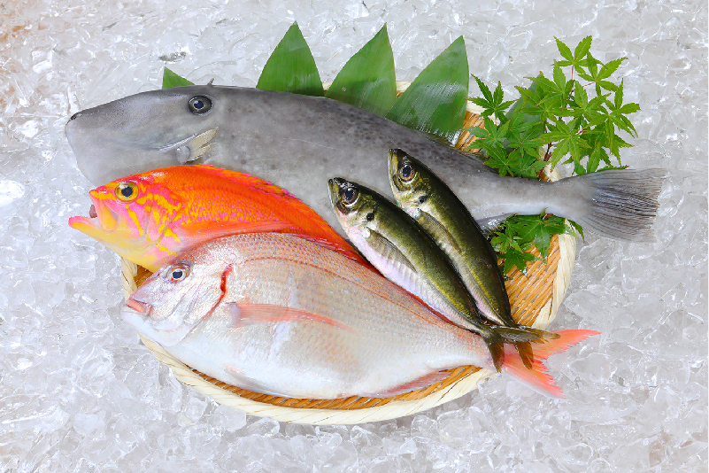 冷蔵/送料別】6000円鮮魚ボックス | 沼津港かねはちオンライン