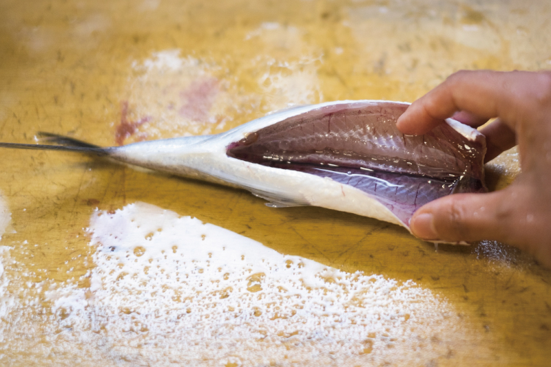 「 魚介料理事典 全6巻 」 （株） トーレン おはようございます。 肴トさかな つじすま でございます。 連休