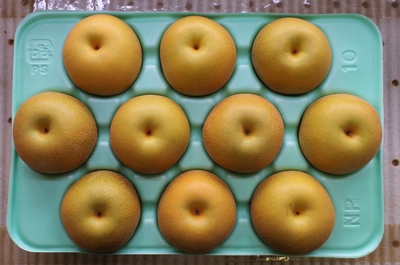 あきづき 5kg 5L（10玉か9玉）