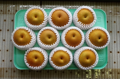 にっこり 5kg 5L（10玉か9玉）