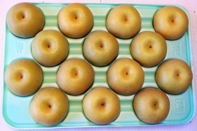 幸水 5kg 3L（14個か13個）