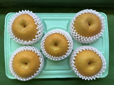 豊華（ゆたか） 5kg 7L（5玉か6玉）