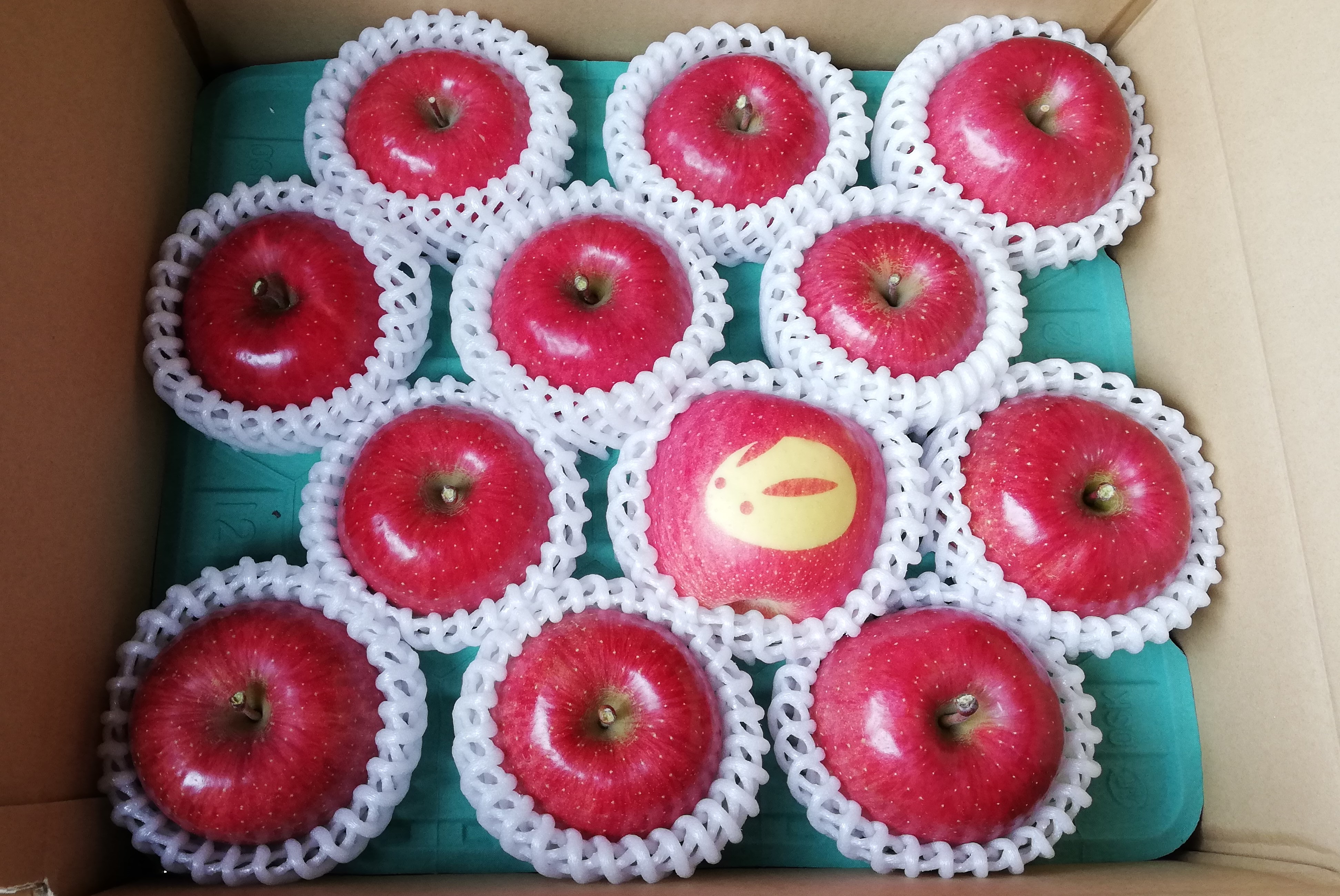 数量限定 家庭 贈答用６玉ずつ 内１玉イラスト入りふじりんご 1 2人用 さんふじりんご小笠原農園