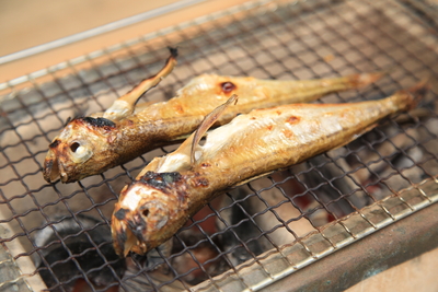 【24日出荷限定特価！！】ハタハタの干物(冷蔵)