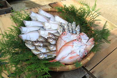 日本海の高級魚ノドグロ一夜干しが３枚も！！橘商店オリジナル干物４種セット（冷凍）